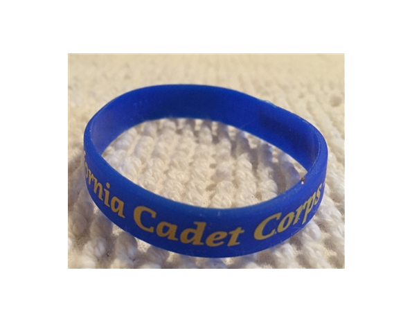 Wristband